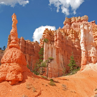 Bryce - Queens Garden Trail